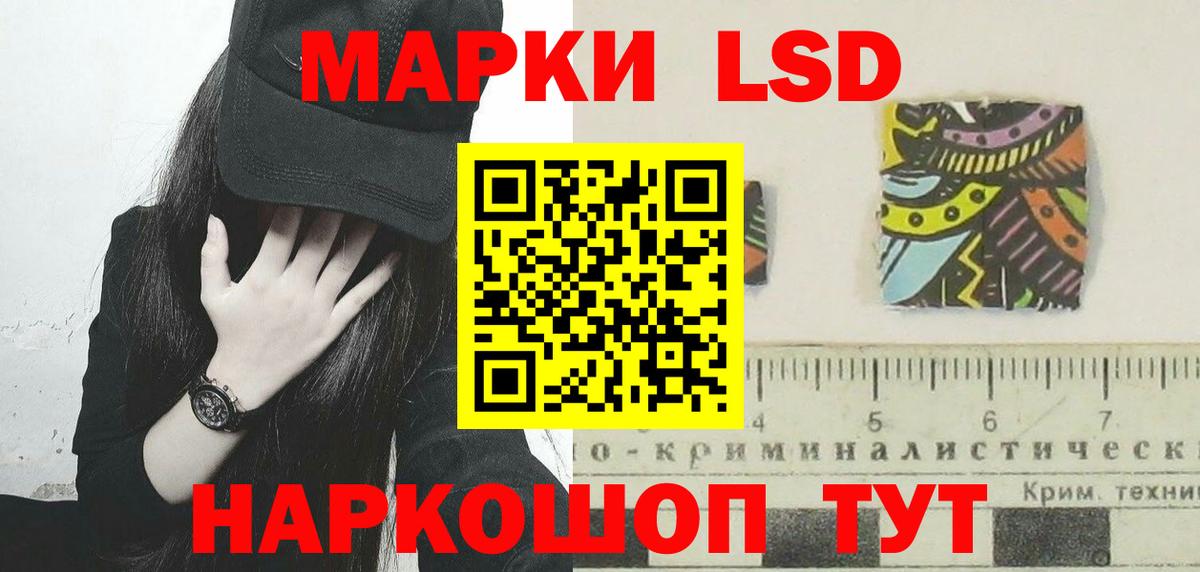 Галлюциногенные грибы Сальск