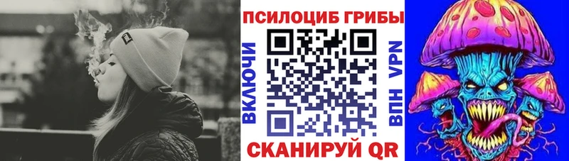 Псилоцибиновые грибы Cubensis  Сальск 