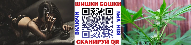 гидра ссылка  Сальск  Бошки Шишки план 